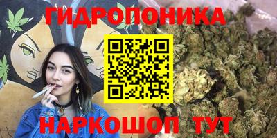 каннабис Кандалакша