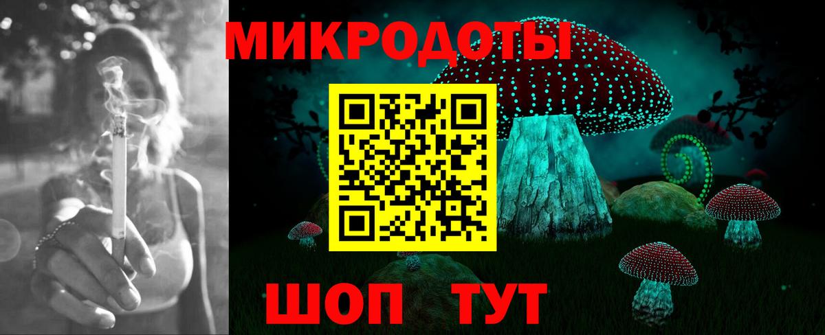 Галлюциногенные грибы Psilocybe Михайловка